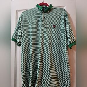 Polo by Ralph Lauren Green and White Striped Shirt